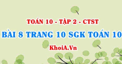 Bài 8 trang 10 SGK Toán 10 Tập 2 Chân trời sáng tạo